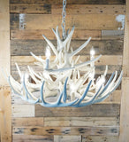 Whitetail Deer 15 Antler Chandelier
