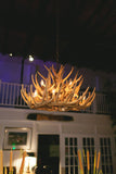 Whitetail Deer 21 Antler Chandelier