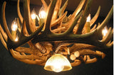 Whitetail Deer 21 Antler Chandelier