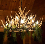 Whitetail Deer 21 Antler Chandelier