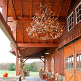 Elk 30 Antler Chandelier