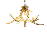 Whitetail Deer 3 Antler Chandelier