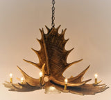 Moose 6 Antler Chandelier with Downlight