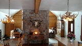 Whitetail Deer 10 Faux Antler Chandelier with Down Lights