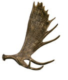 Moose Faux Antler