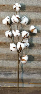Cotton Stem, 20"
